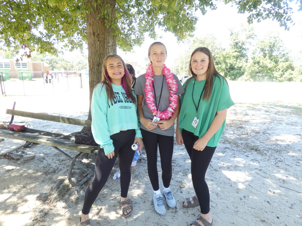 Hawaiian Day