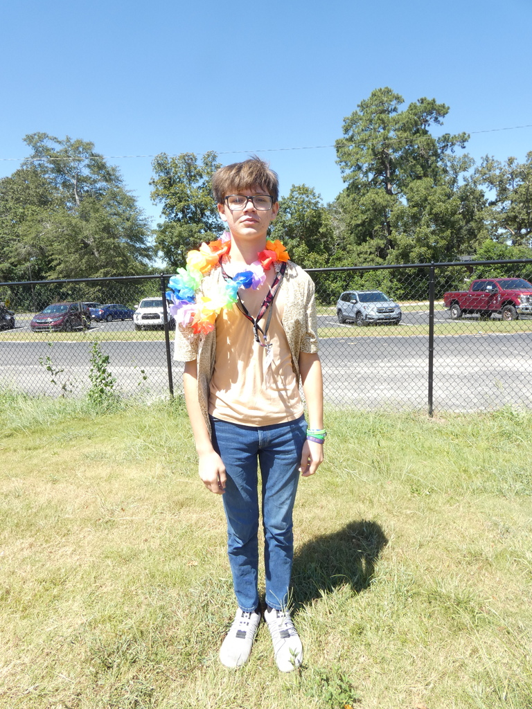 Hawaiian Day