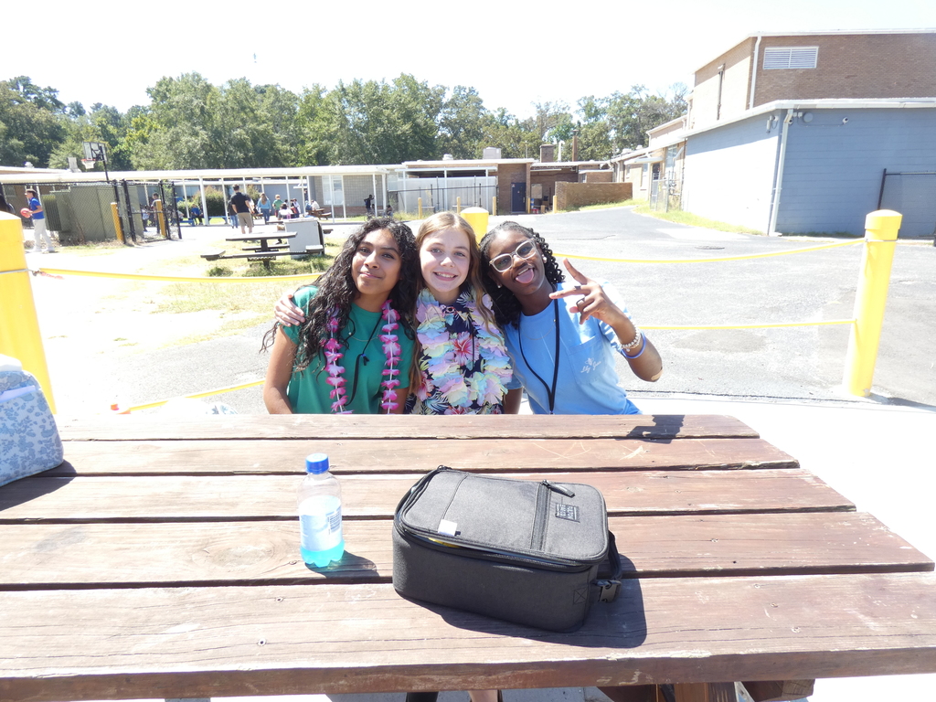 Hawaiian Day