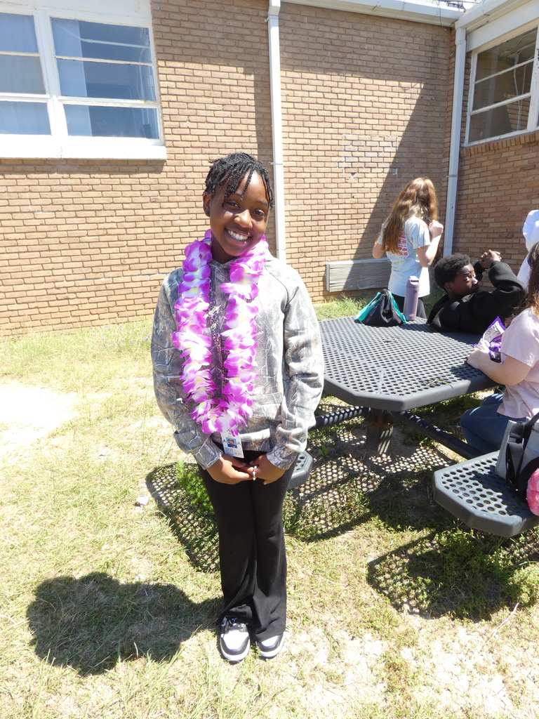 Hawaiian Day