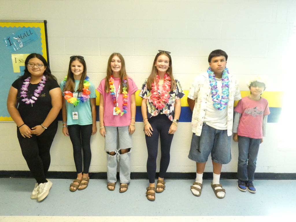 Hawaiian Day
