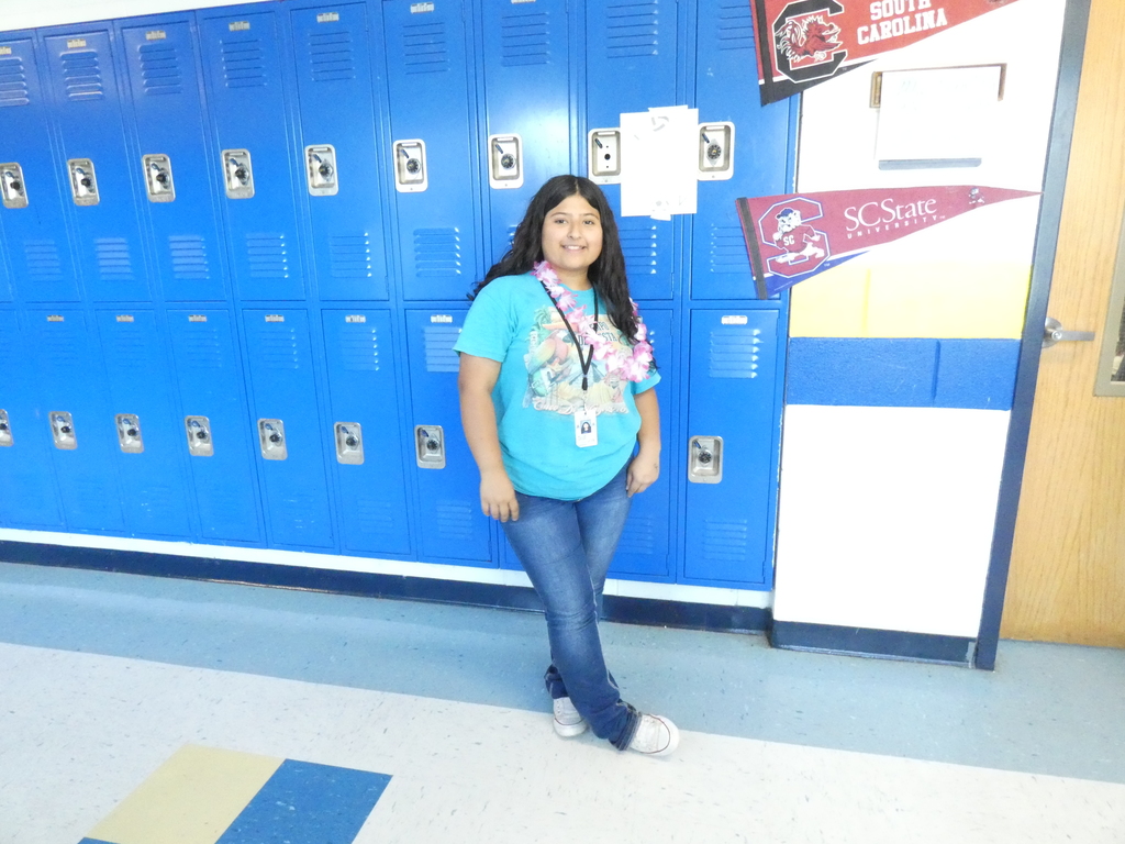 Hawaiian Day