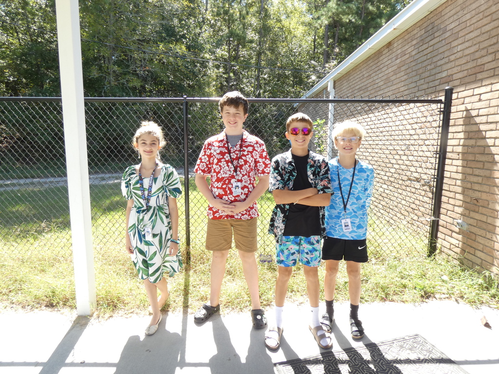 Hawaiian Day