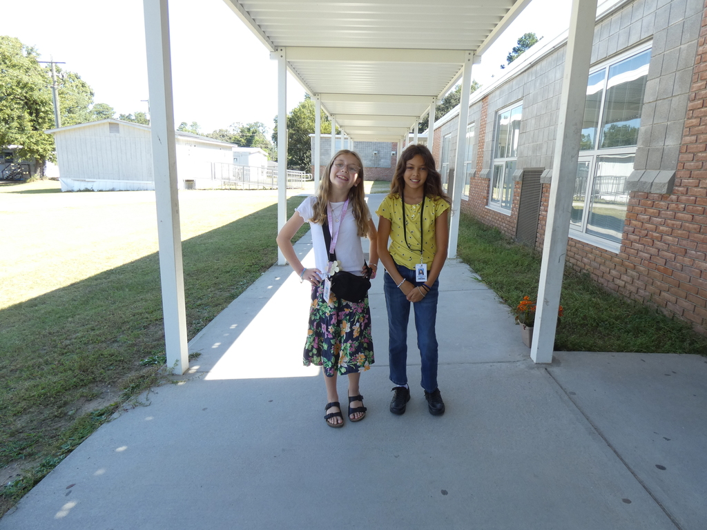 Hawaiian Day
