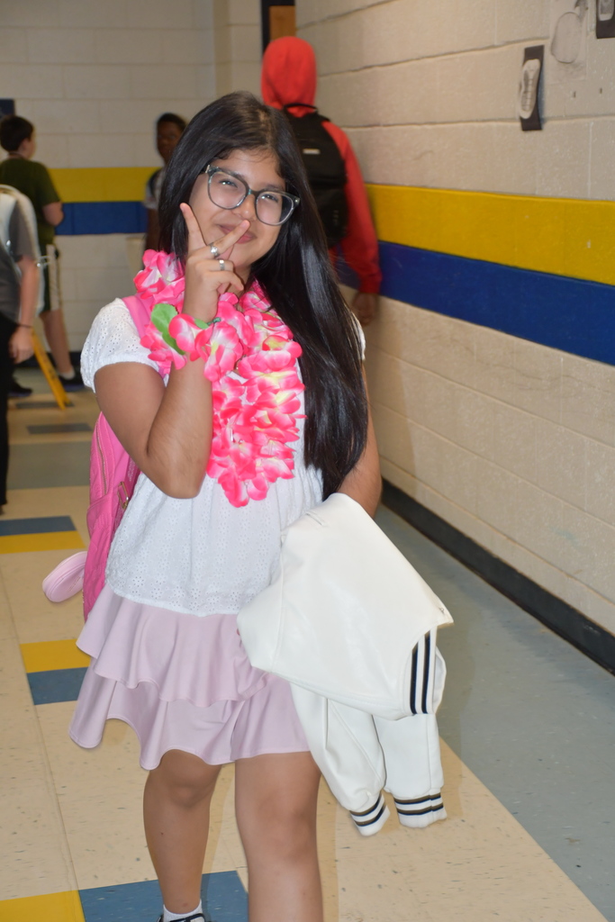 Hawaiian Day