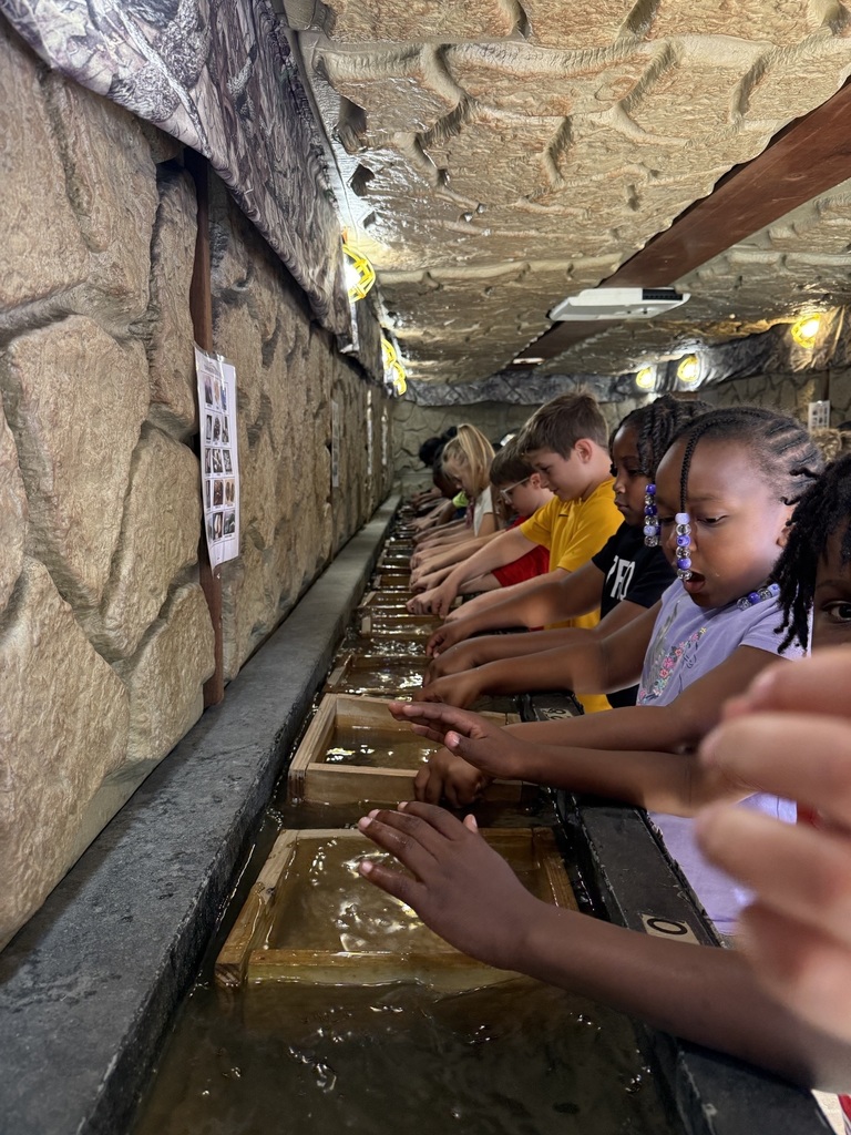 Diamond Dell 3rd Grade Field Trip Fun