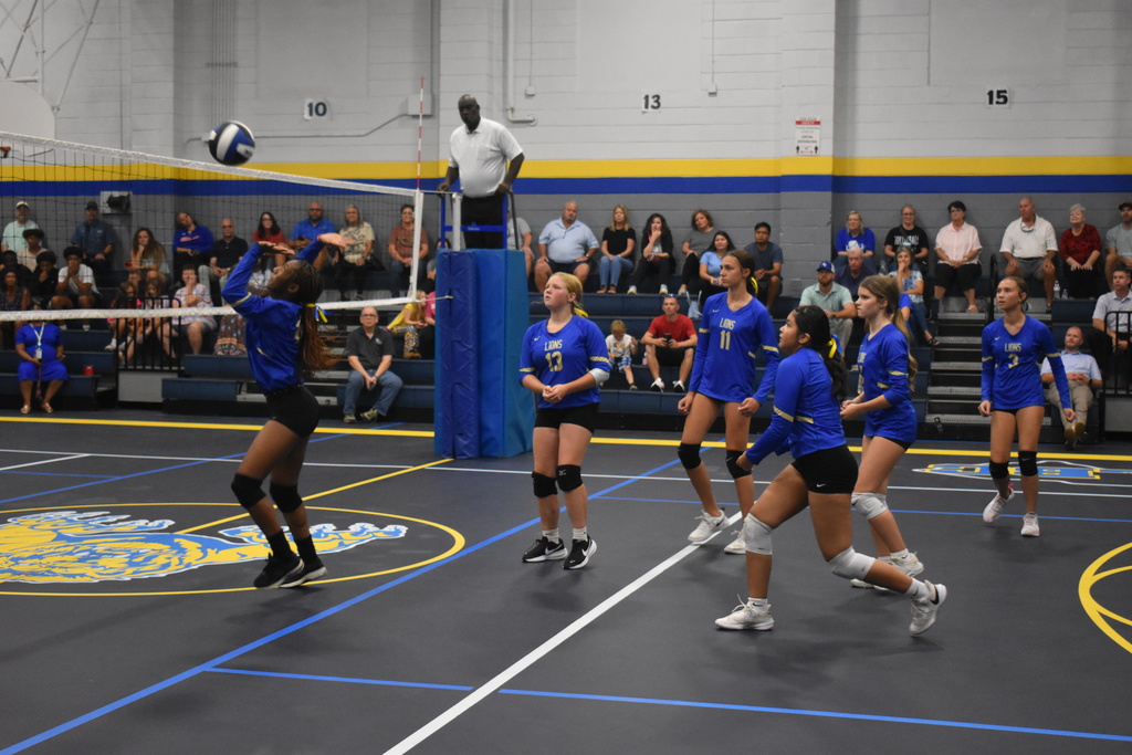 Volleyball