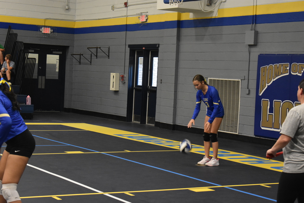 Volleyball