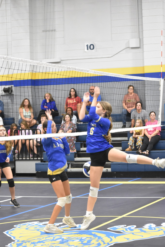 Volleyball