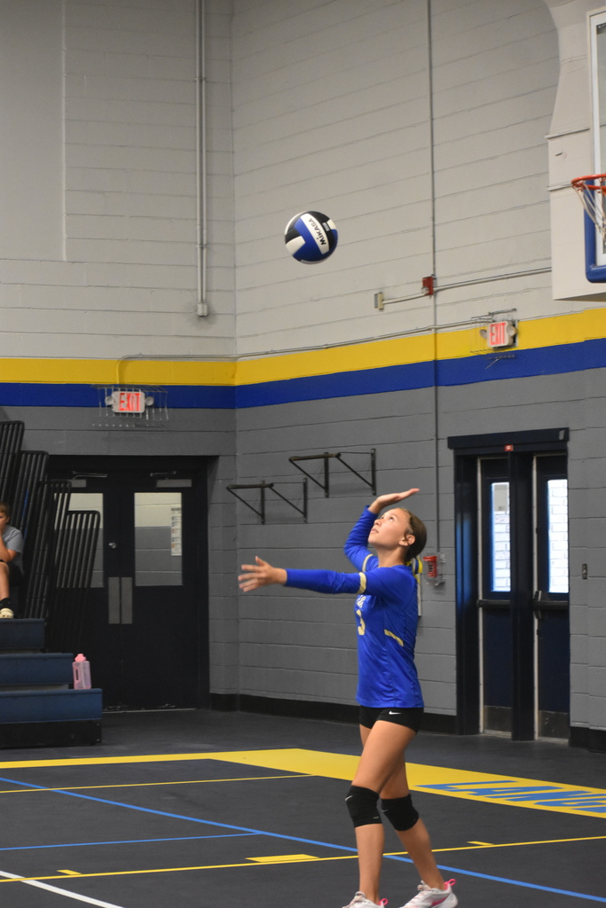 Volleyball