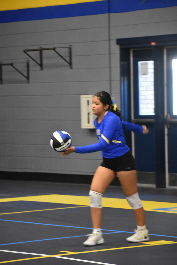 Volleyball