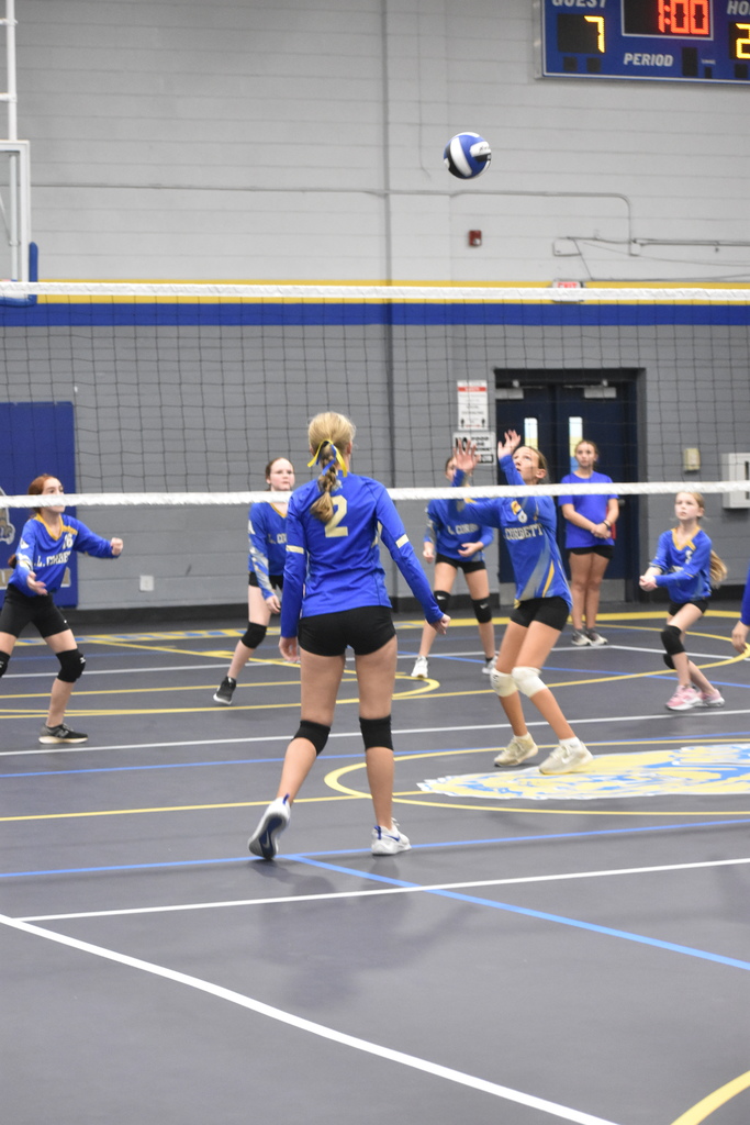 Volleyball