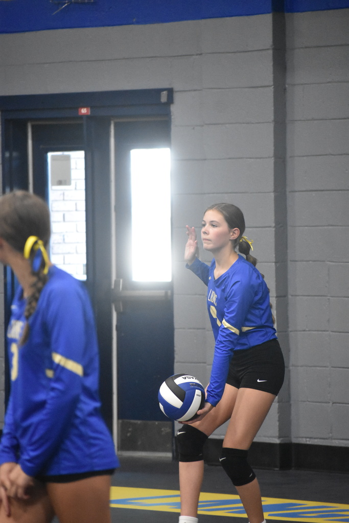 Volleyball