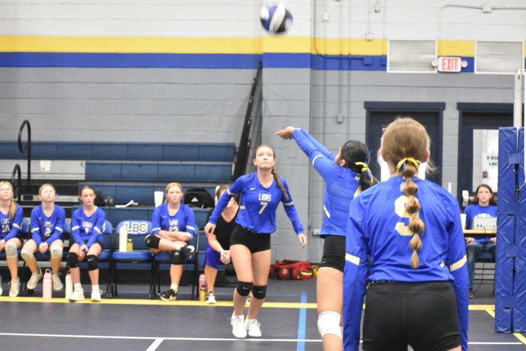 Volleyball