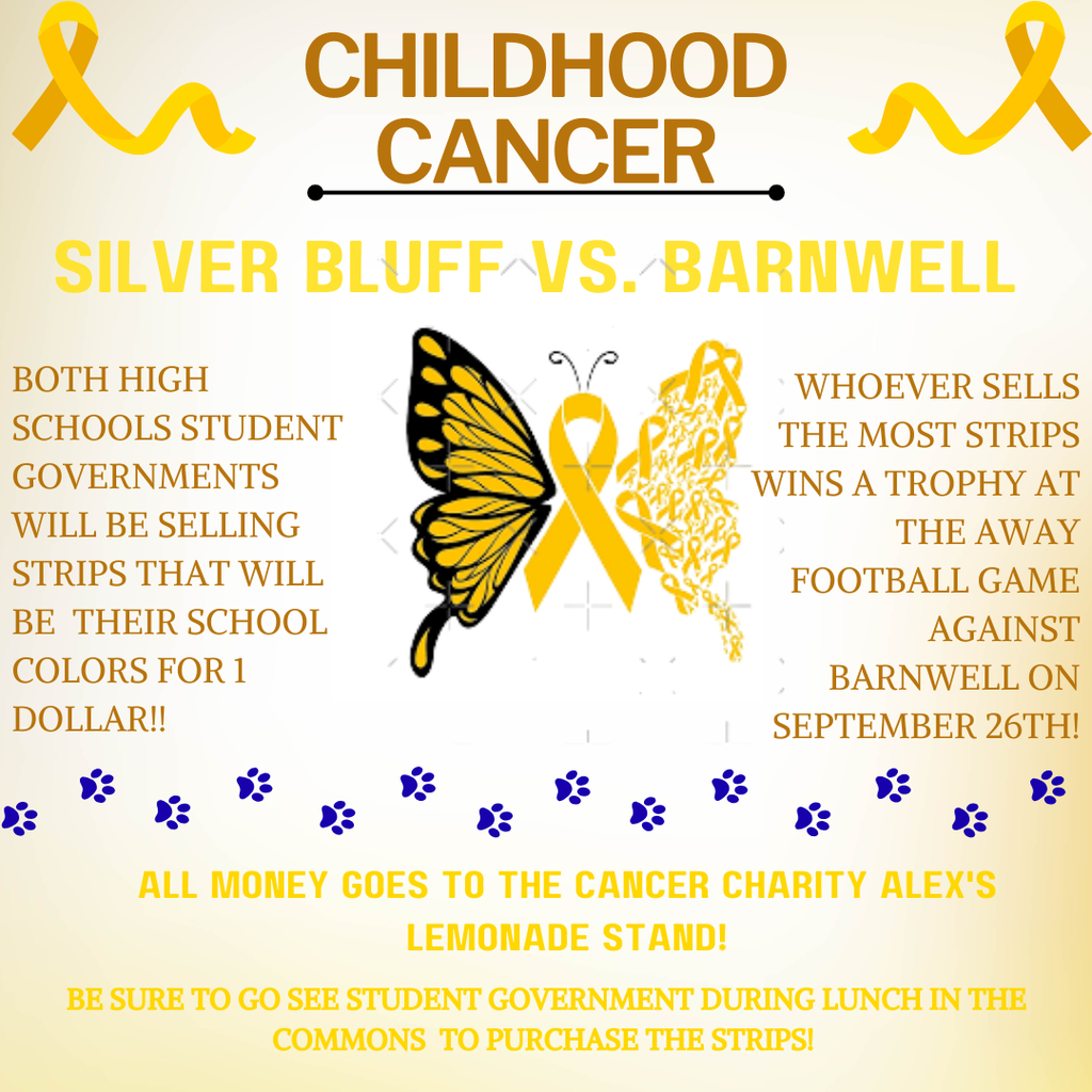 Childhood Cancer Fundraiser