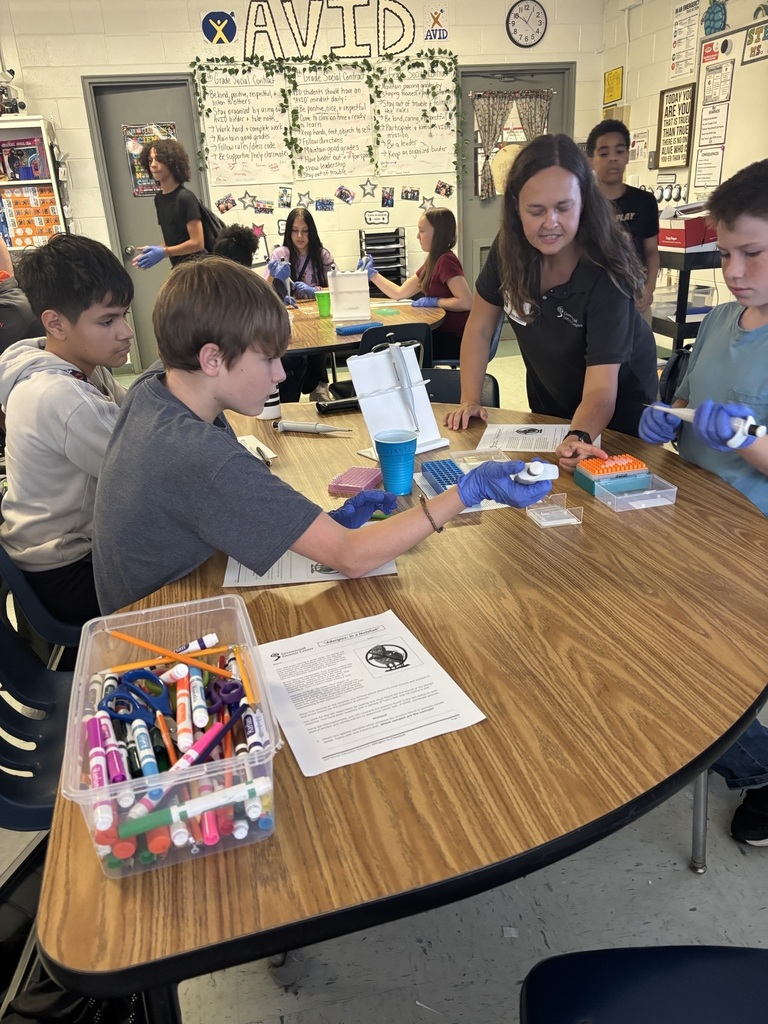 STEM students conducting an allergies experiment.