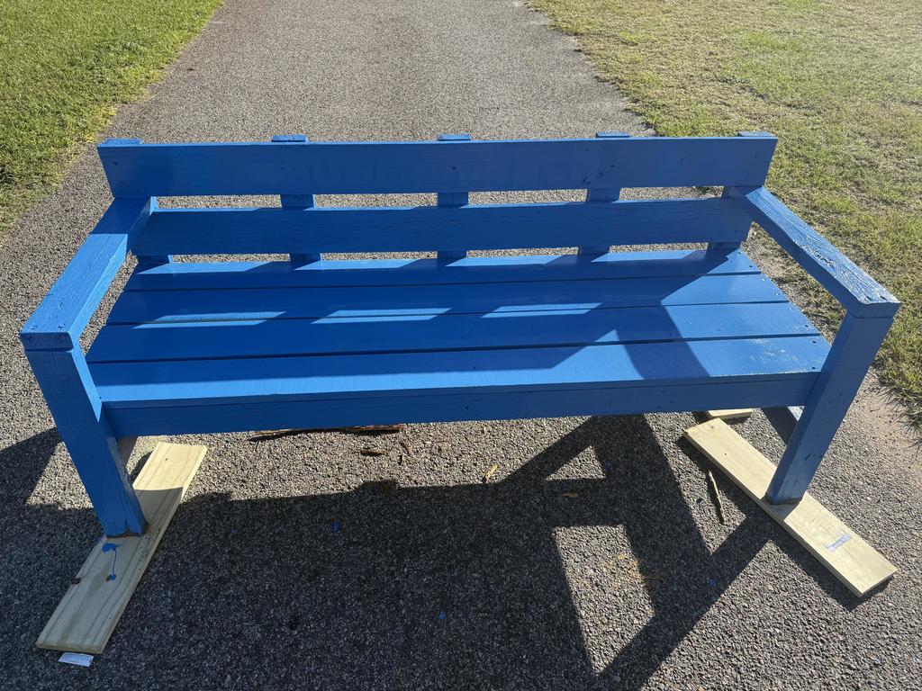 Newley Painted Buddy Bench