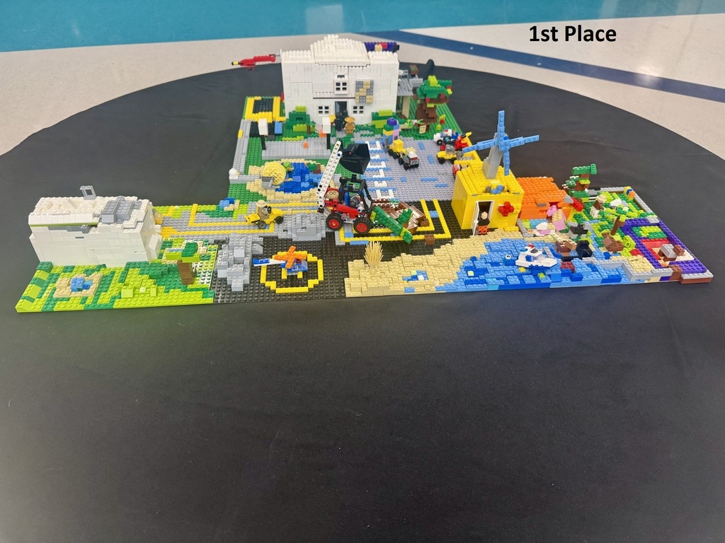 1st Place Project