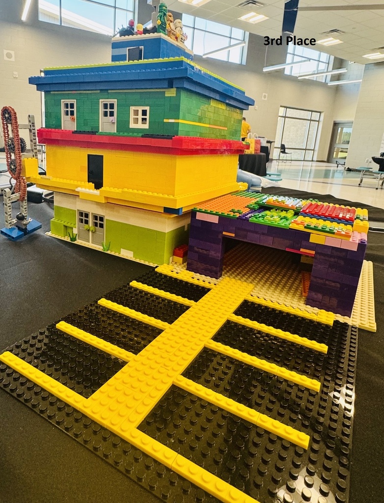 3rd Place Project