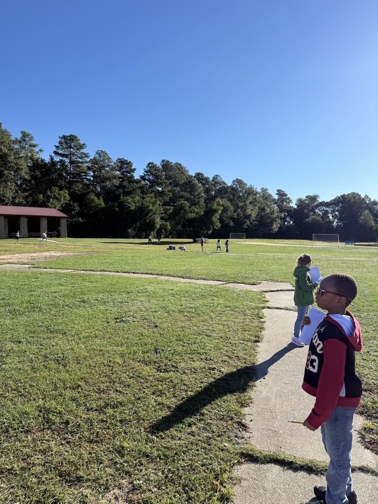 Third Grade Student Science Investigators