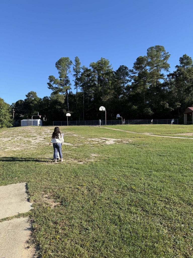 Third Grade Student Science Investigators