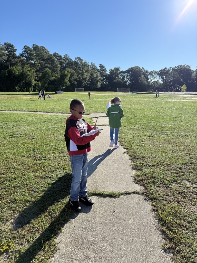 Third Grade Student Science Investigators