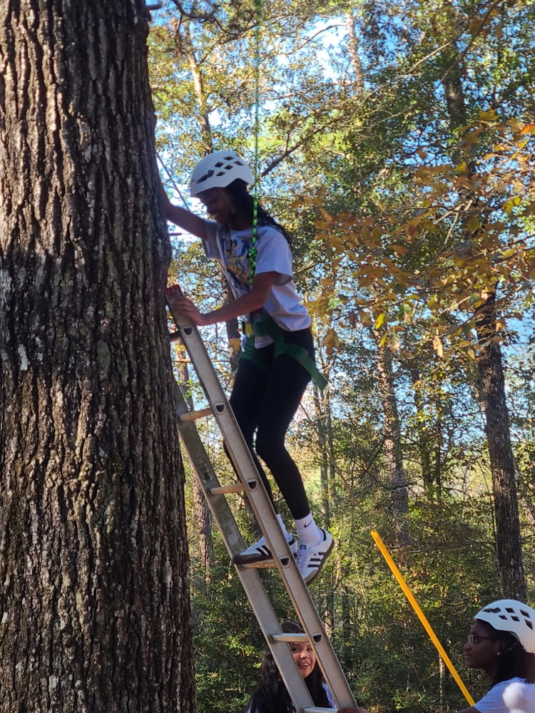 Camp Gravatt