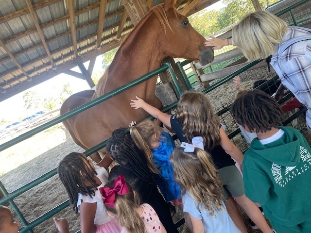 First Grade students visit Steeds Dairy