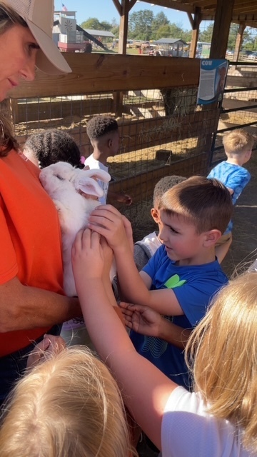 First Grade students visit Steeds Dairy