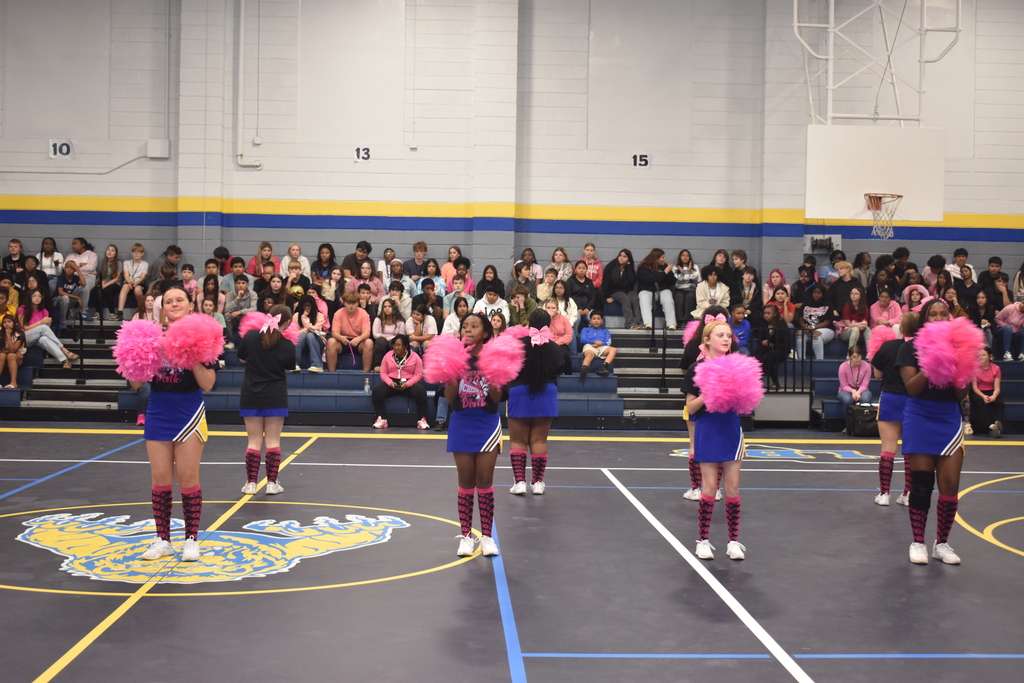 Pink Out and Pep Rally