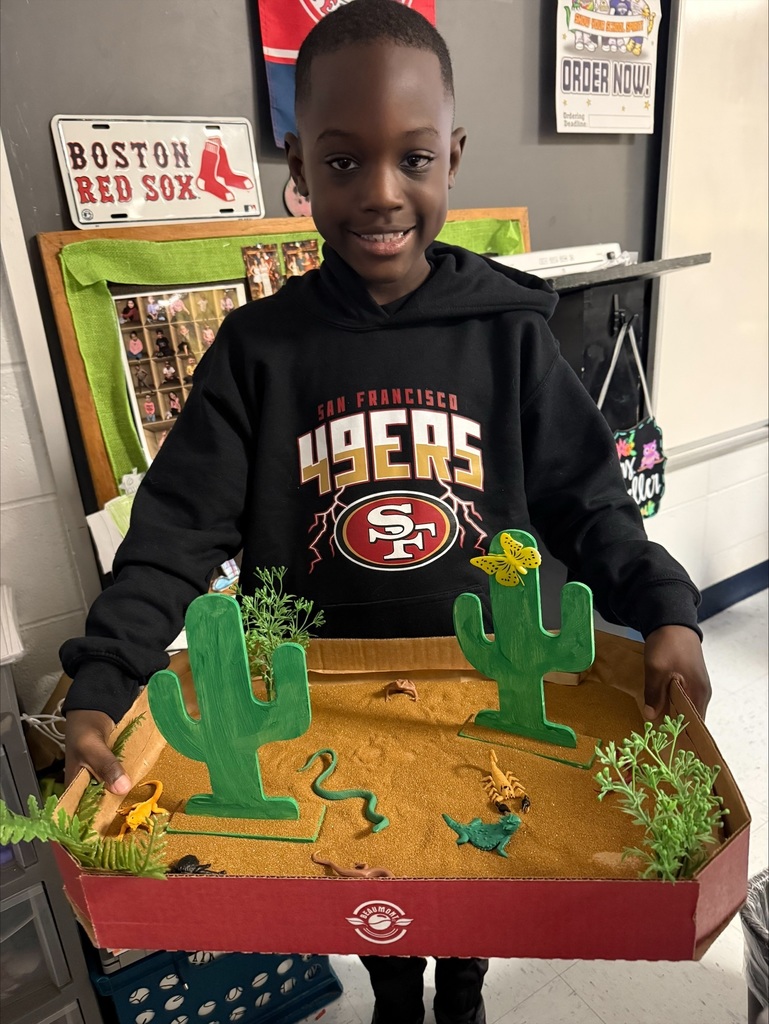 Third Grade Biomes Projects