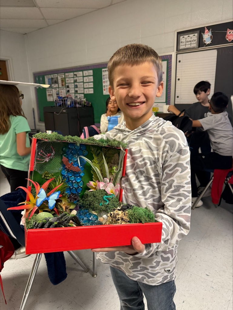 Third Grade Biomes Projects
