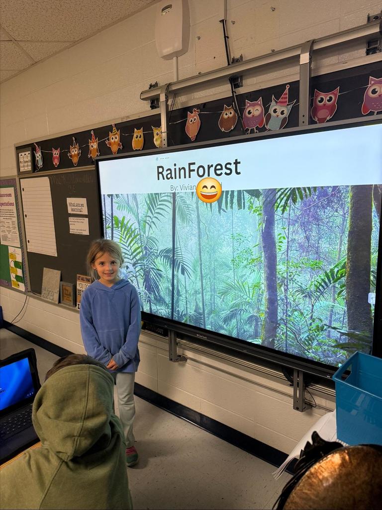 Third Grade Biomes Projects