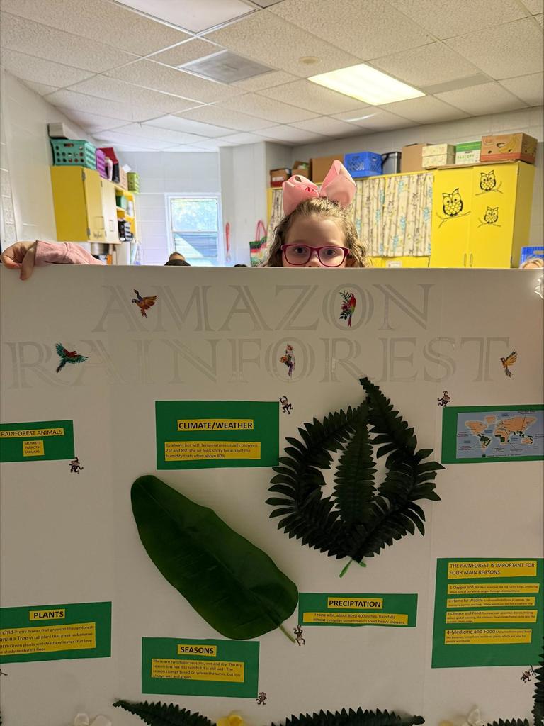 Third Grade Biomes Projects
