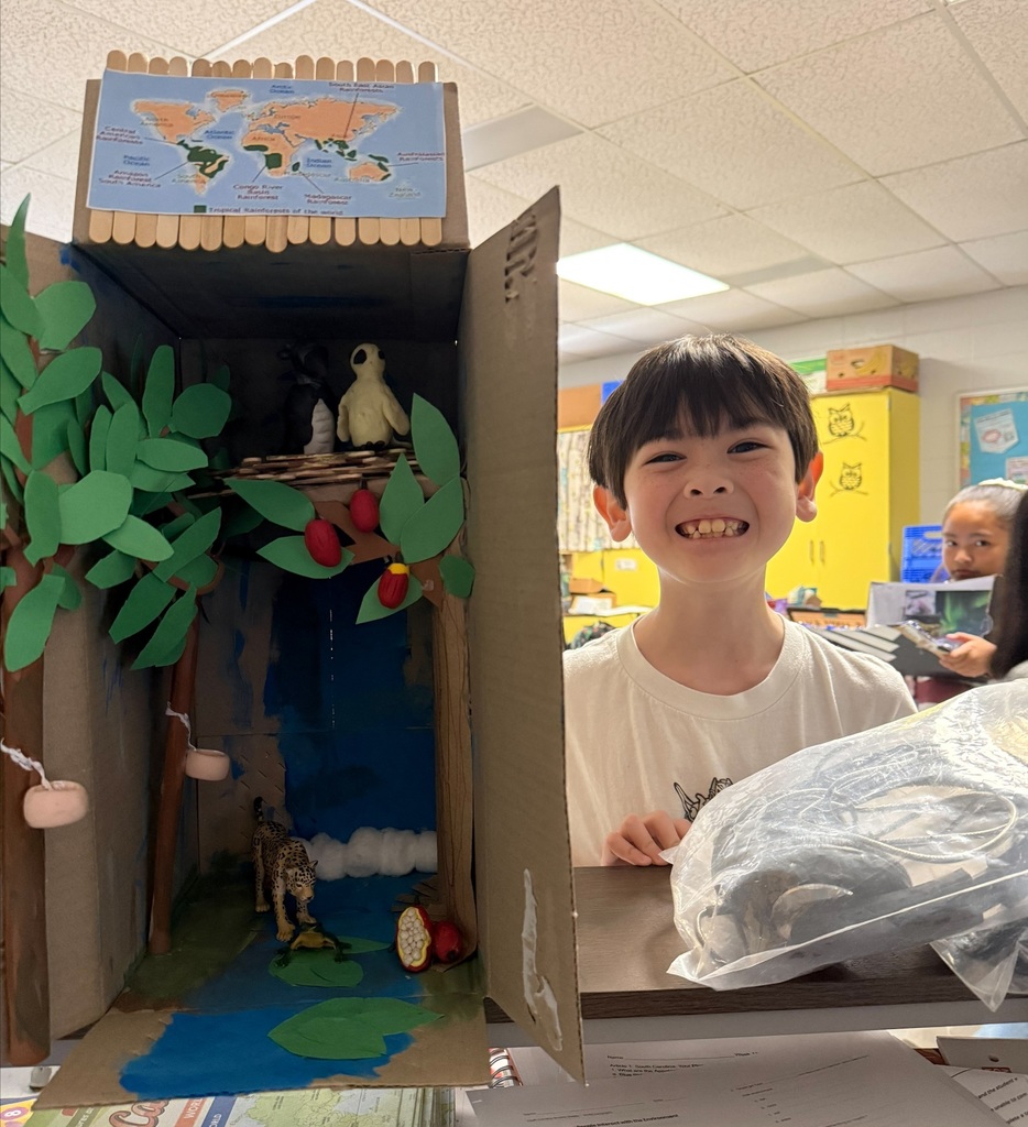Third Grade Biomes Projects