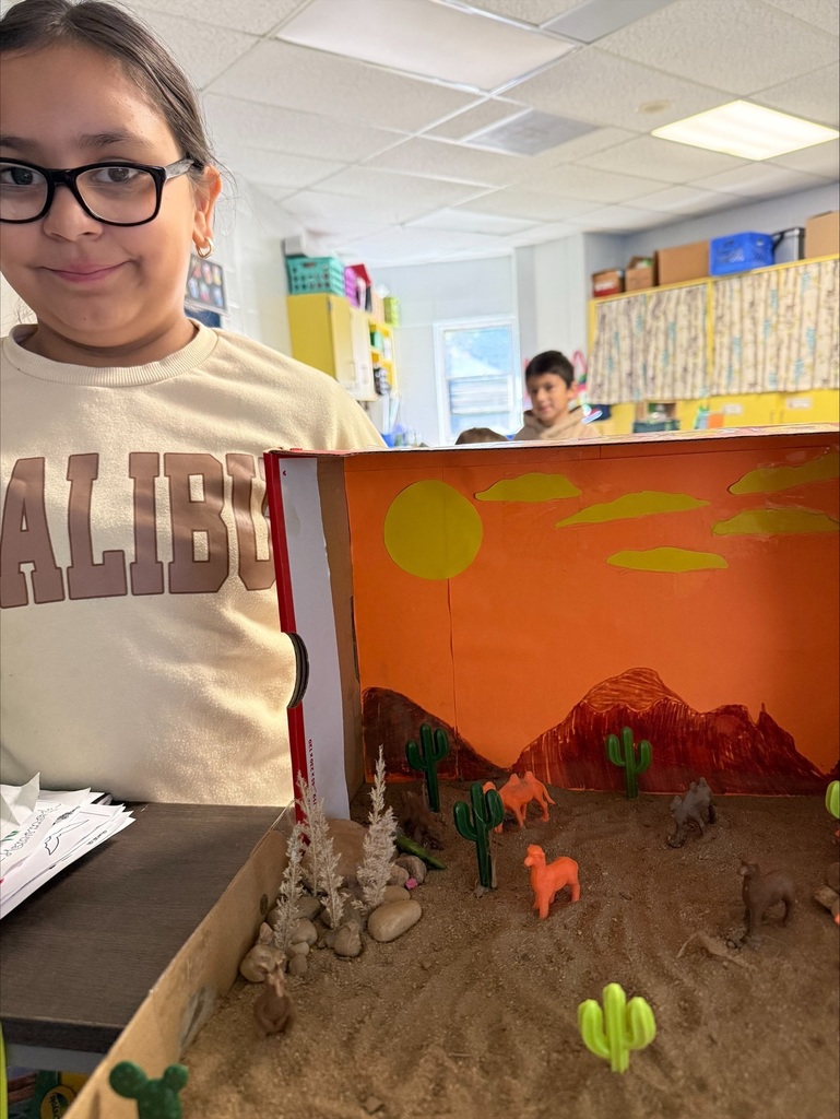 Third Grade Biomes Projects