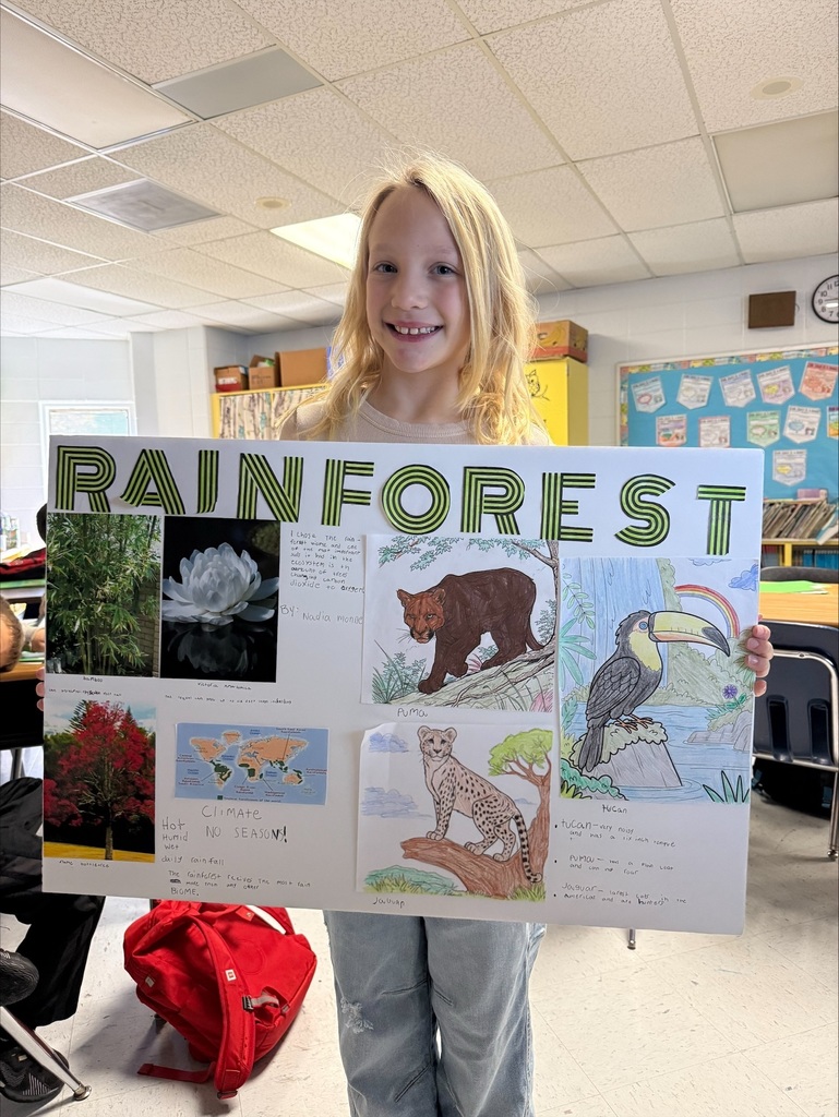 Third Grade Biomes Projects