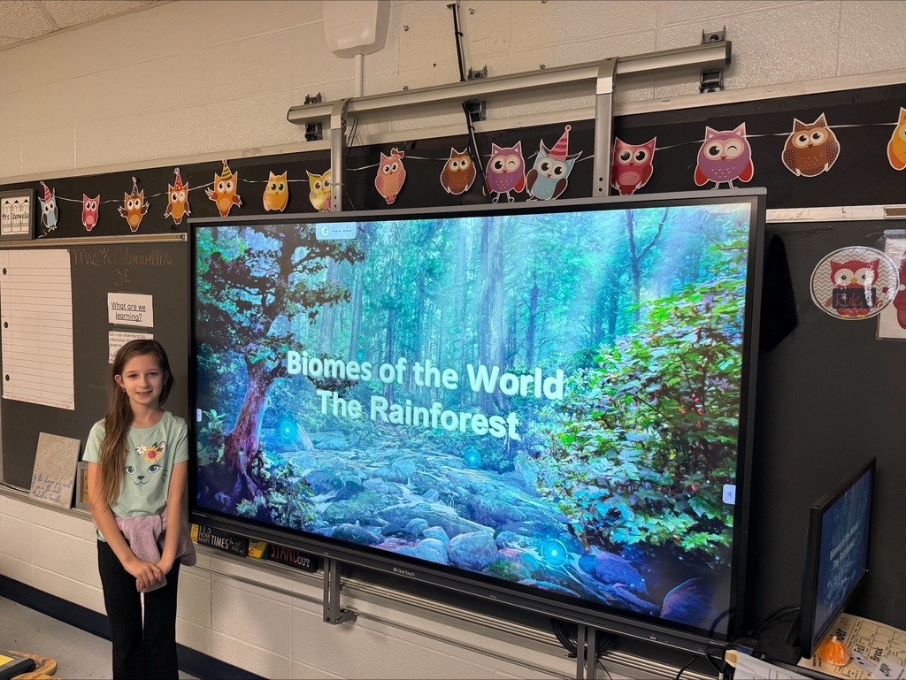 Third Grade Biomes Projects