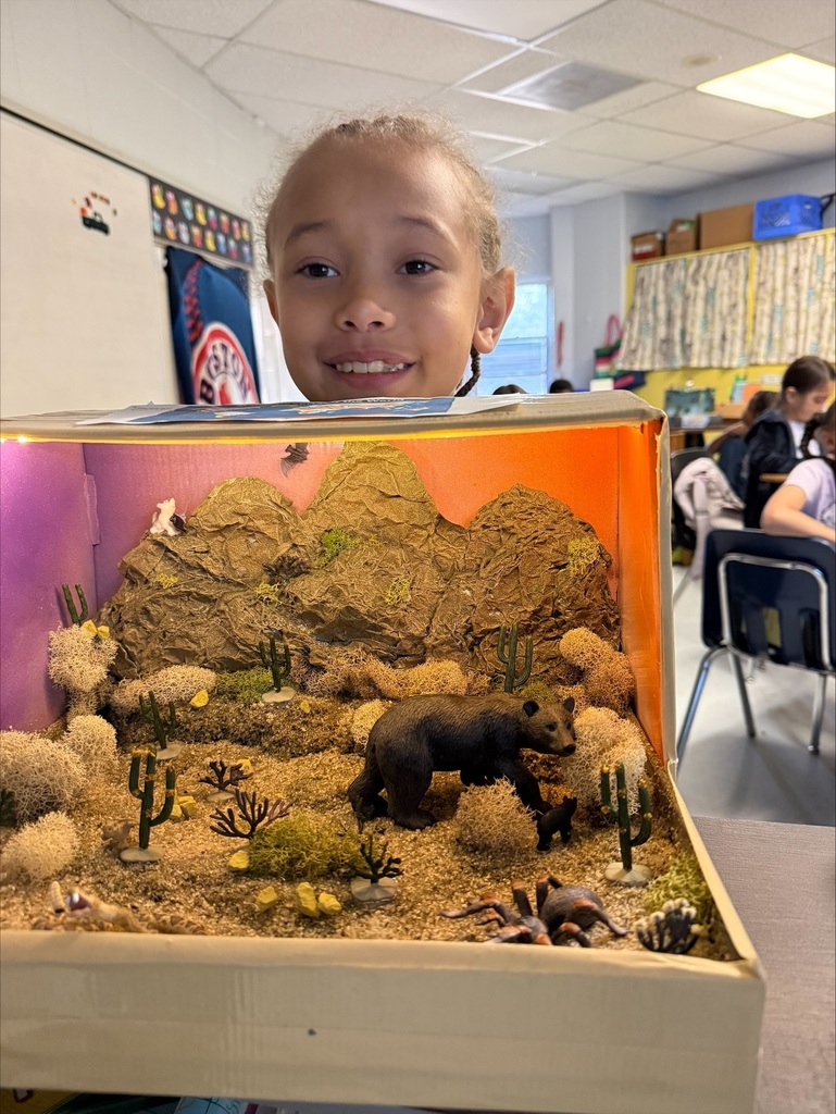 Third Grade Biomes Projects