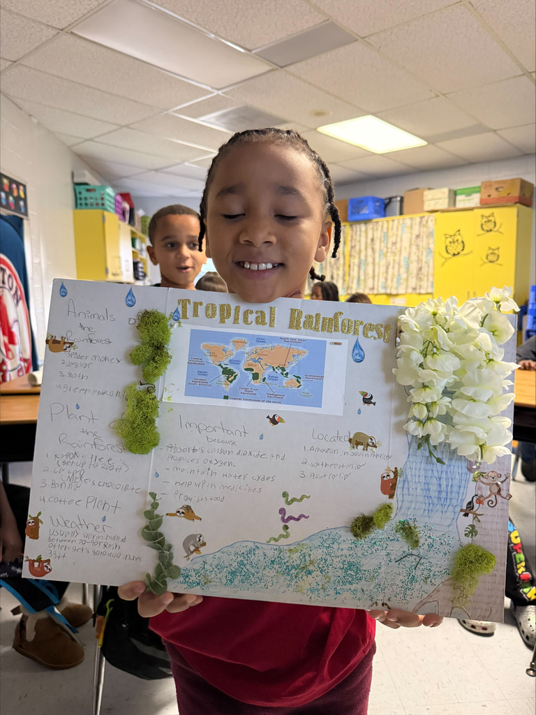 Third Grade Biomes Projects