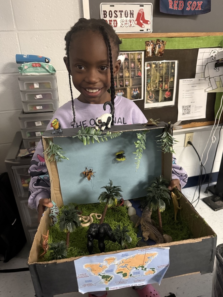 🌿🌎 3rd Grade Biome Projects