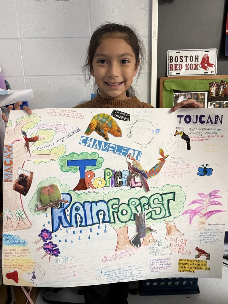 🌿🌎 3rd Grade Biome Projects