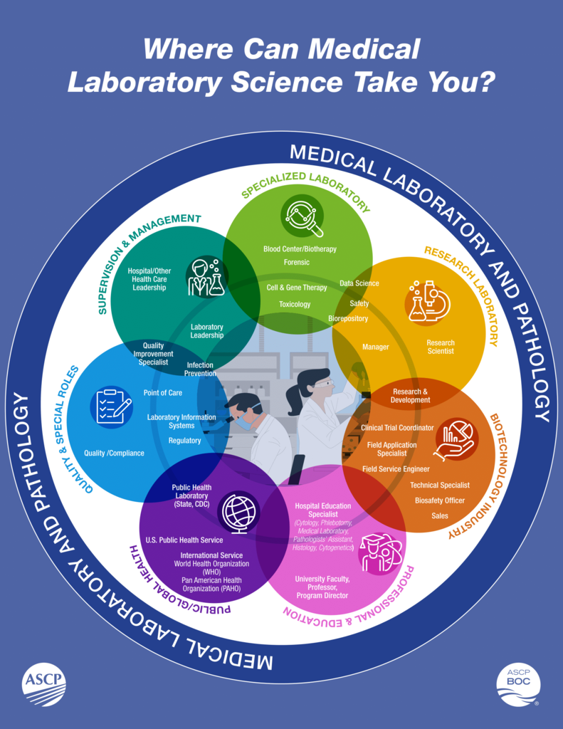 Grpahic with information regarding medical laboratory science careers