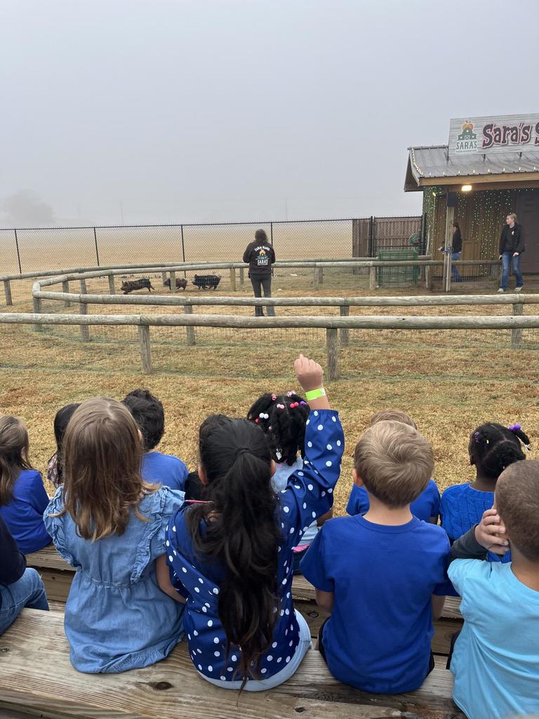 Kindergarten Field Trip Fun