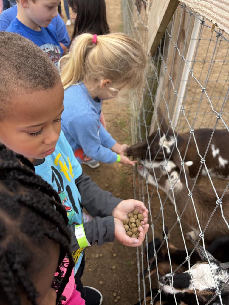 Kindergarten Field Trip Fun