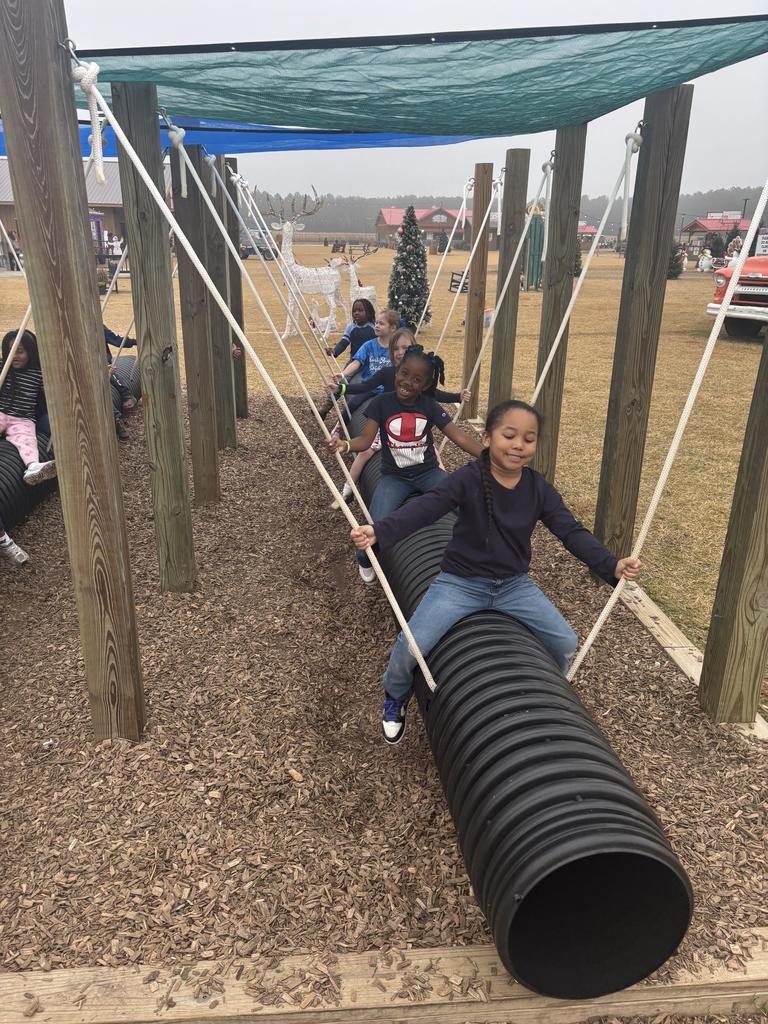 Kindergarten Field Trip Fun