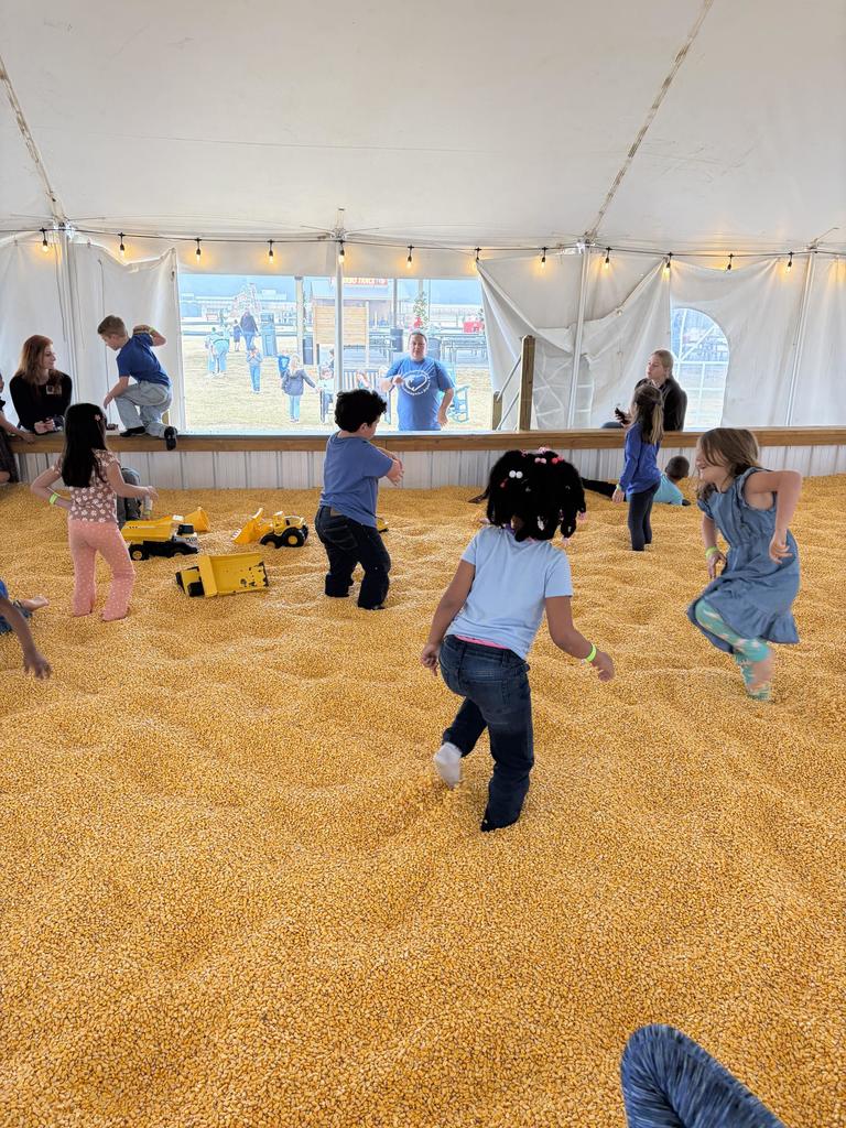 Kindergarten Field Trip Fun