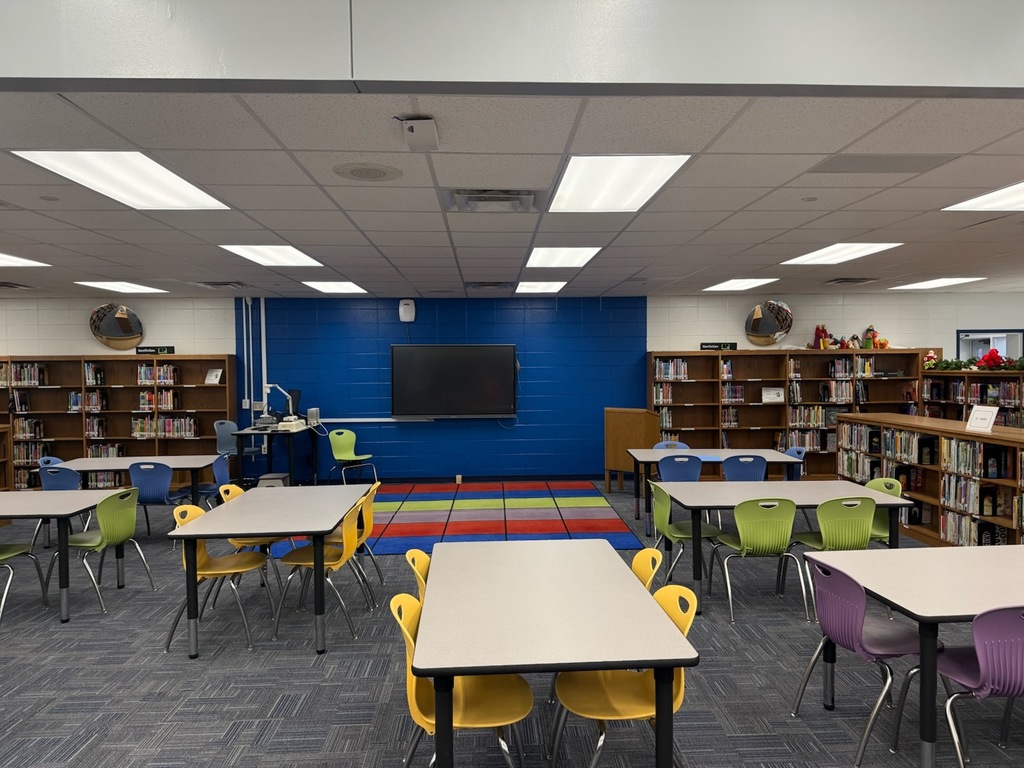 Accent Wall in Library