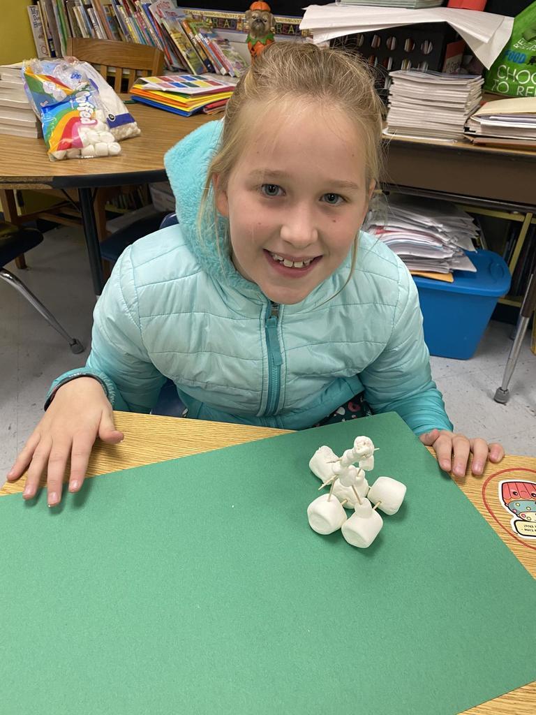 Dream House Projects 