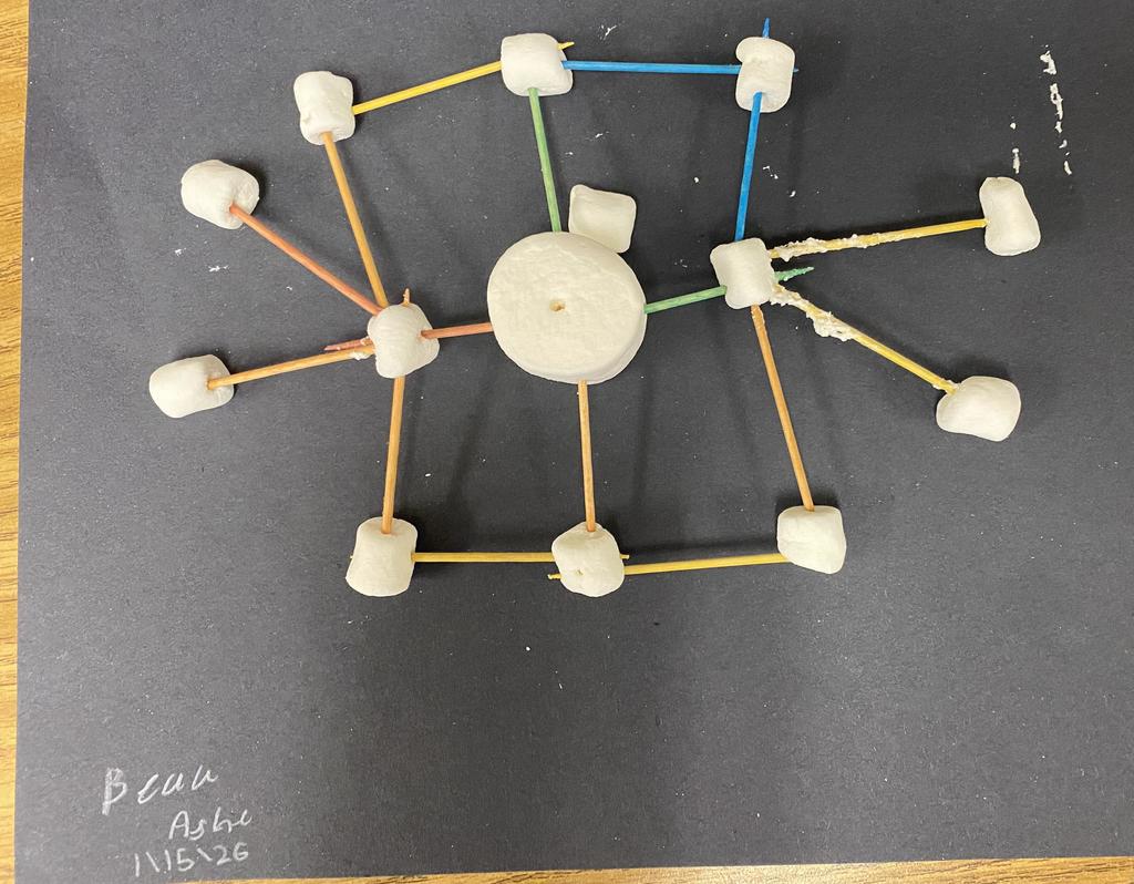 Marshmallow Snowflake STEM Challenge